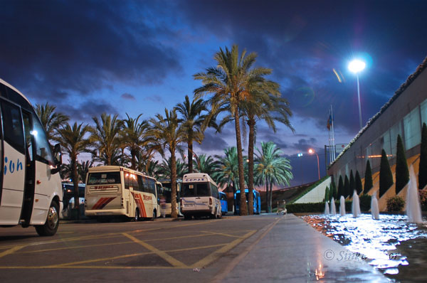 Mallorcai k�p