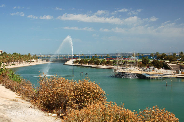Mallorcai k�p
