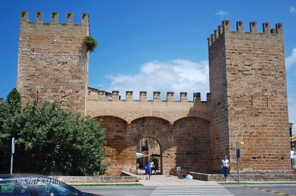 Mallorcai k�p